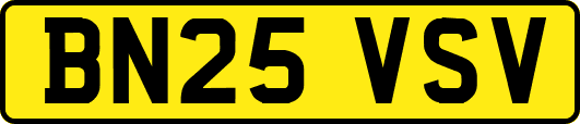 BN25VSV