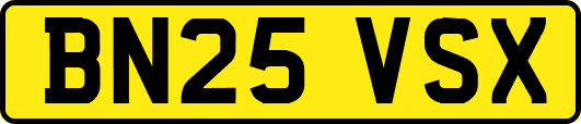 BN25VSX
