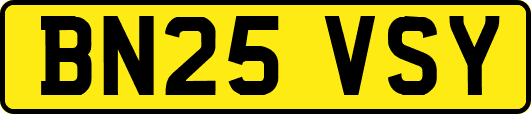 BN25VSY