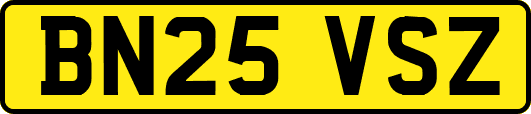 BN25VSZ