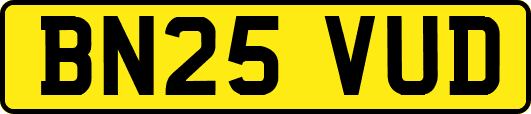 BN25VUD