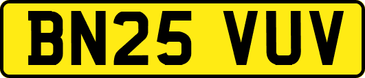 BN25VUV