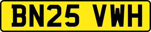 BN25VWH