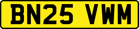 BN25VWM