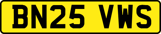 BN25VWS