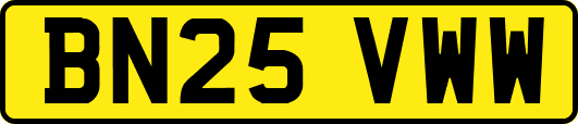 BN25VWW