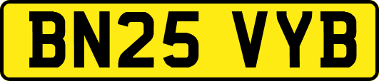 BN25VYB