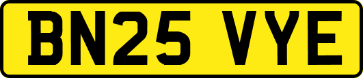 BN25VYE