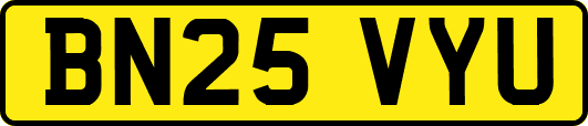BN25VYU
