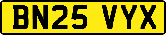 BN25VYX