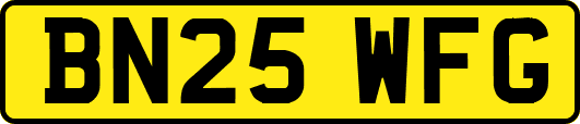 BN25WFG