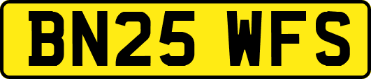 BN25WFS