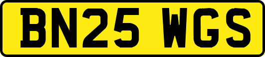 BN25WGS