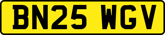 BN25WGV