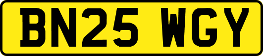 BN25WGY