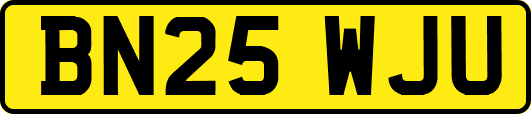BN25WJU