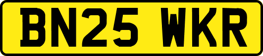 BN25WKR