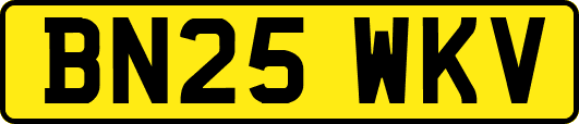 BN25WKV