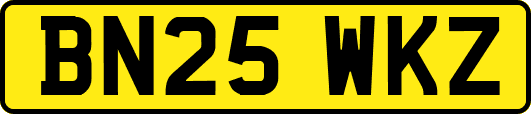 BN25WKZ