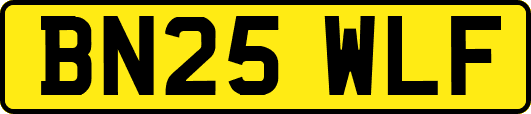 BN25WLF