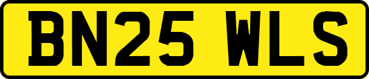 BN25WLS