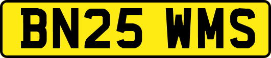 BN25WMS
