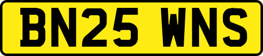 BN25WNS