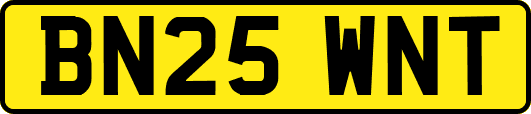 BN25WNT