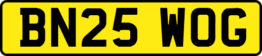 BN25WOG