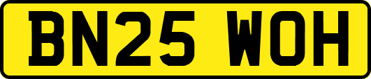 BN25WOH