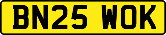 BN25WOK