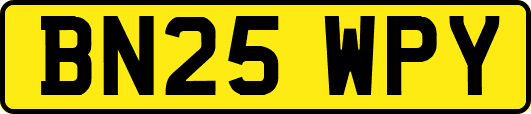 BN25WPY