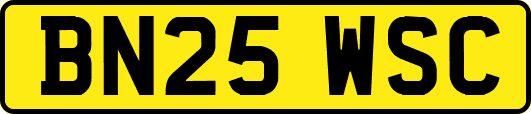 BN25WSC