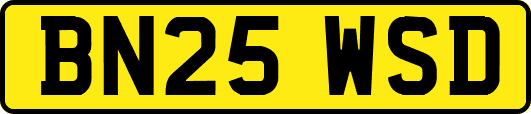 BN25WSD