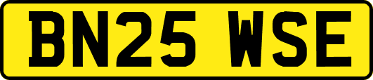 BN25WSE