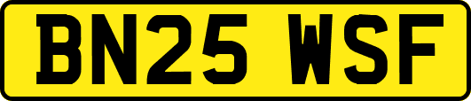 BN25WSF
