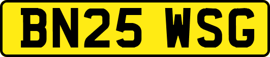 BN25WSG