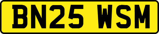BN25WSM