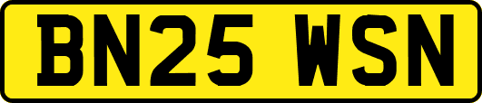 BN25WSN