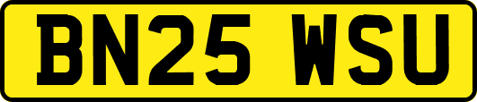 BN25WSU