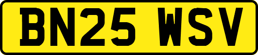 BN25WSV