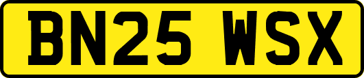 BN25WSX