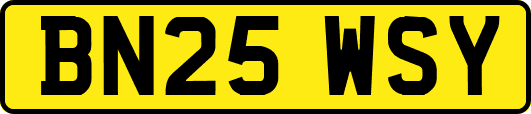 BN25WSY