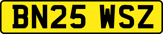 BN25WSZ