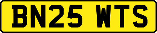 BN25WTS