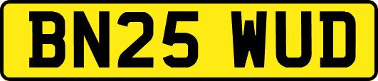 BN25WUD
