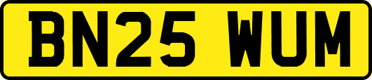 BN25WUM