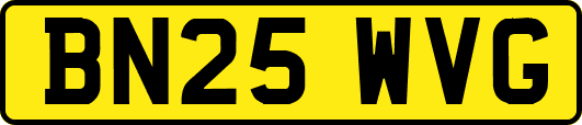 BN25WVG