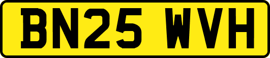 BN25WVH