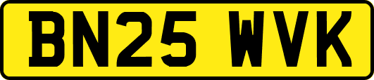 BN25WVK